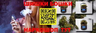 гашик Кандалакша