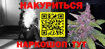 крисы Камышлов
