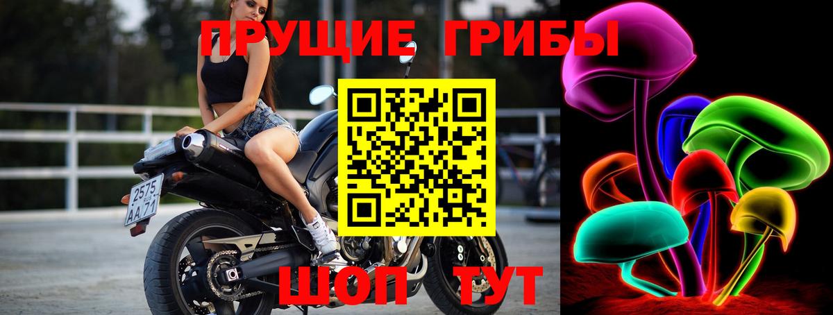 Красногорск  Псилоцибиновые грибы MAGIC MUSHROOMS  Вход с VPN 